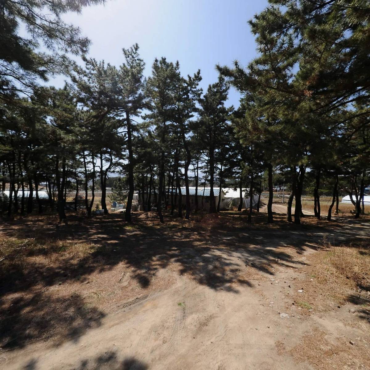 신흥수산영어조합법인