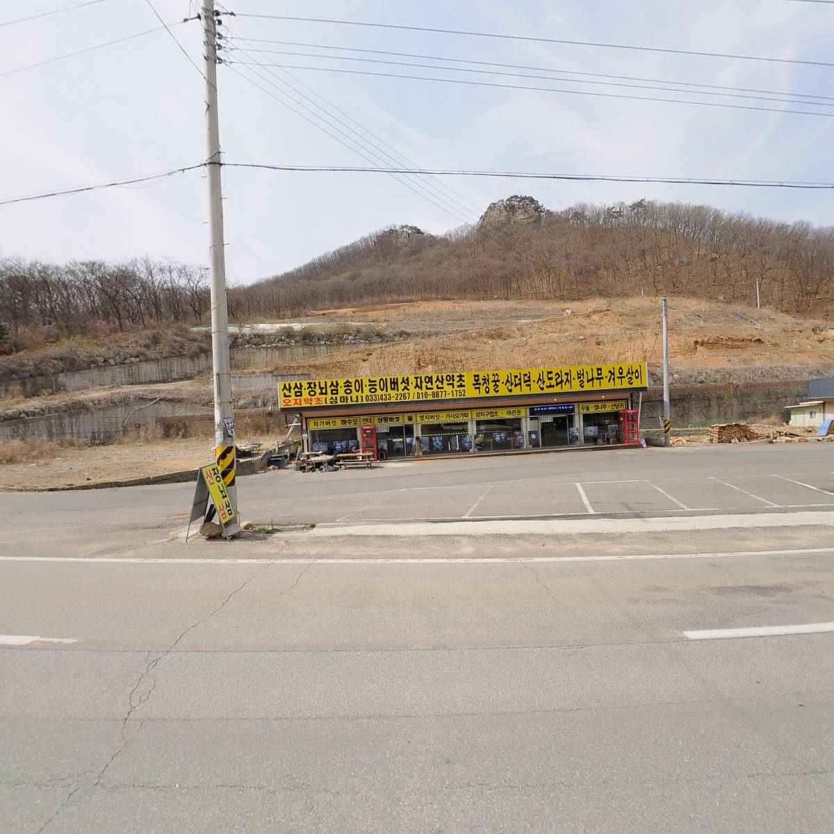 카페이서_3