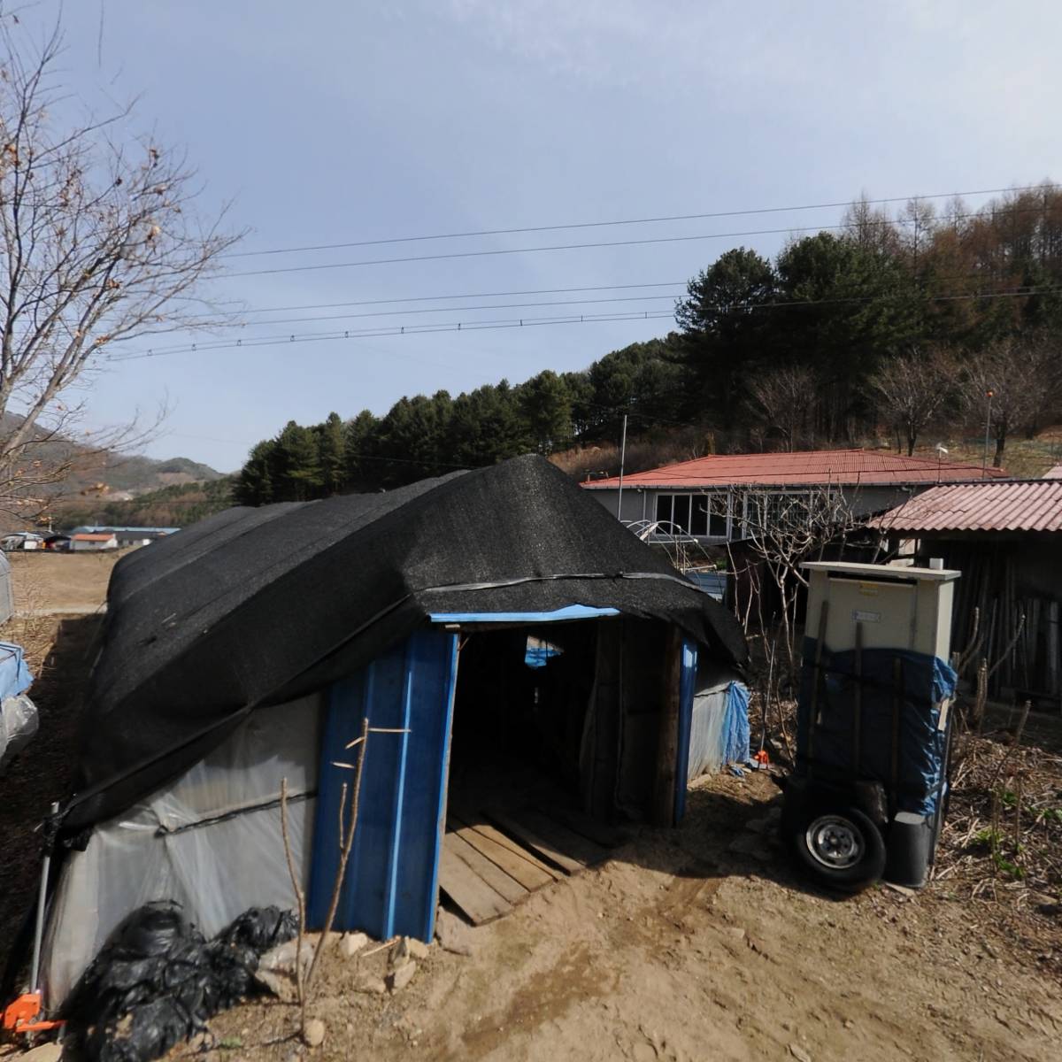 광암리 대동회_3