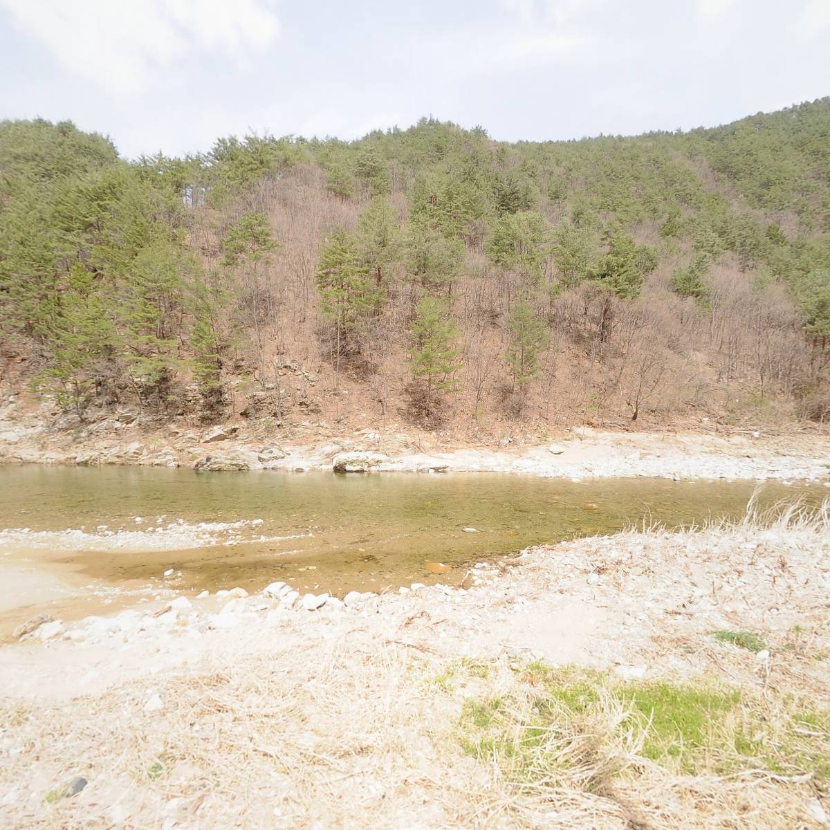 농업회사법인(주)왕피천힐링팜