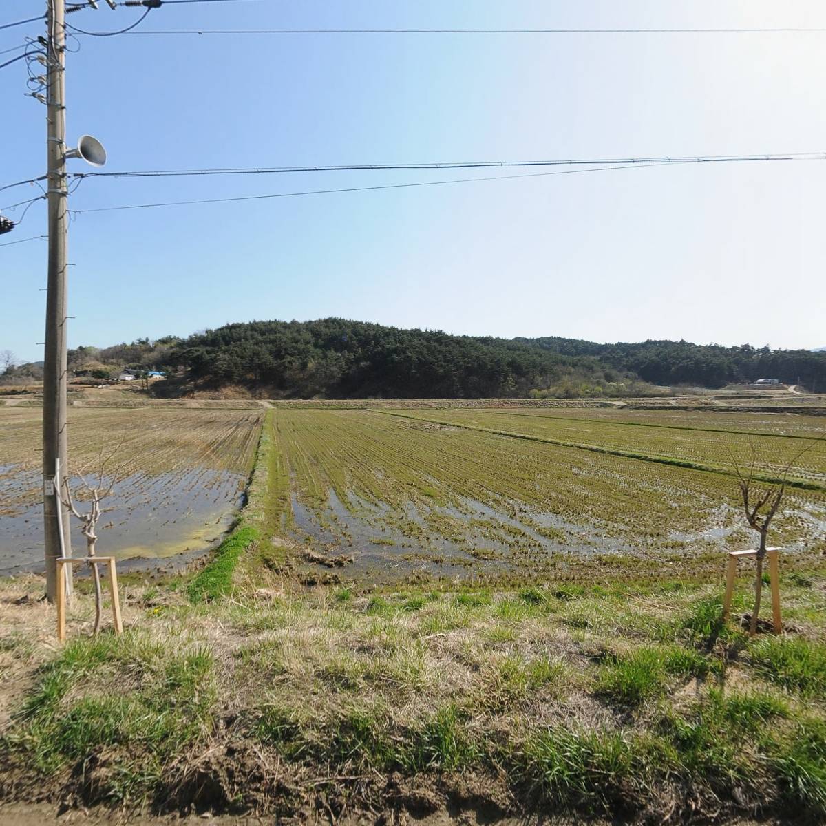 신우에너지(주)영진가스충전소