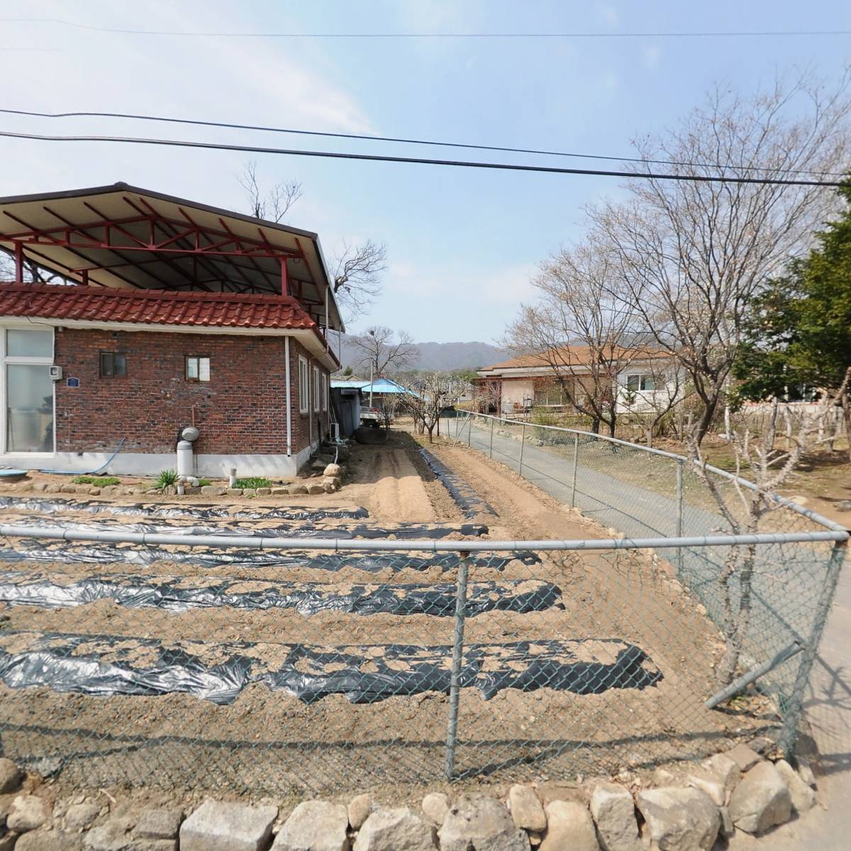 주식회사 포테이토
