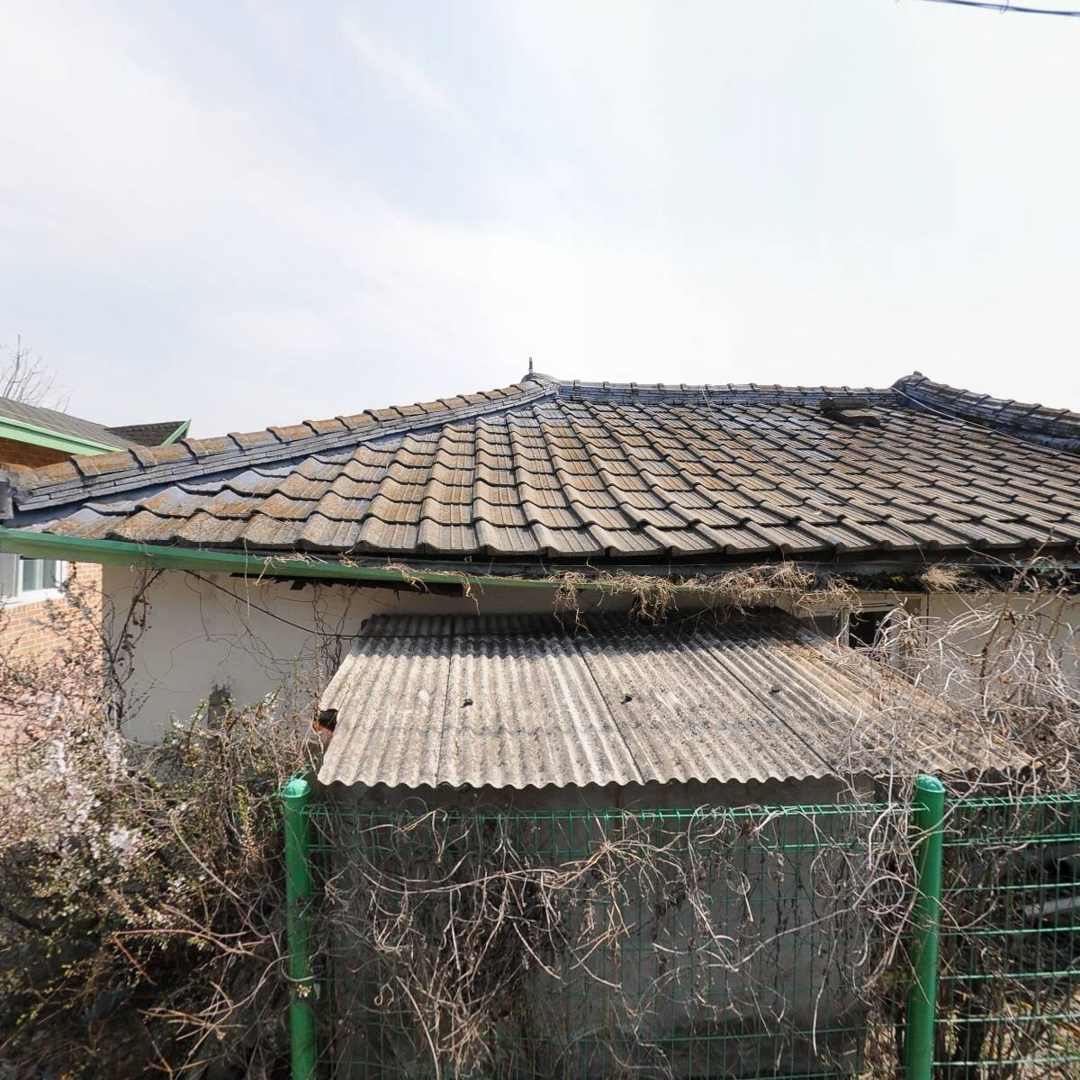 주식회사 포테이토_3