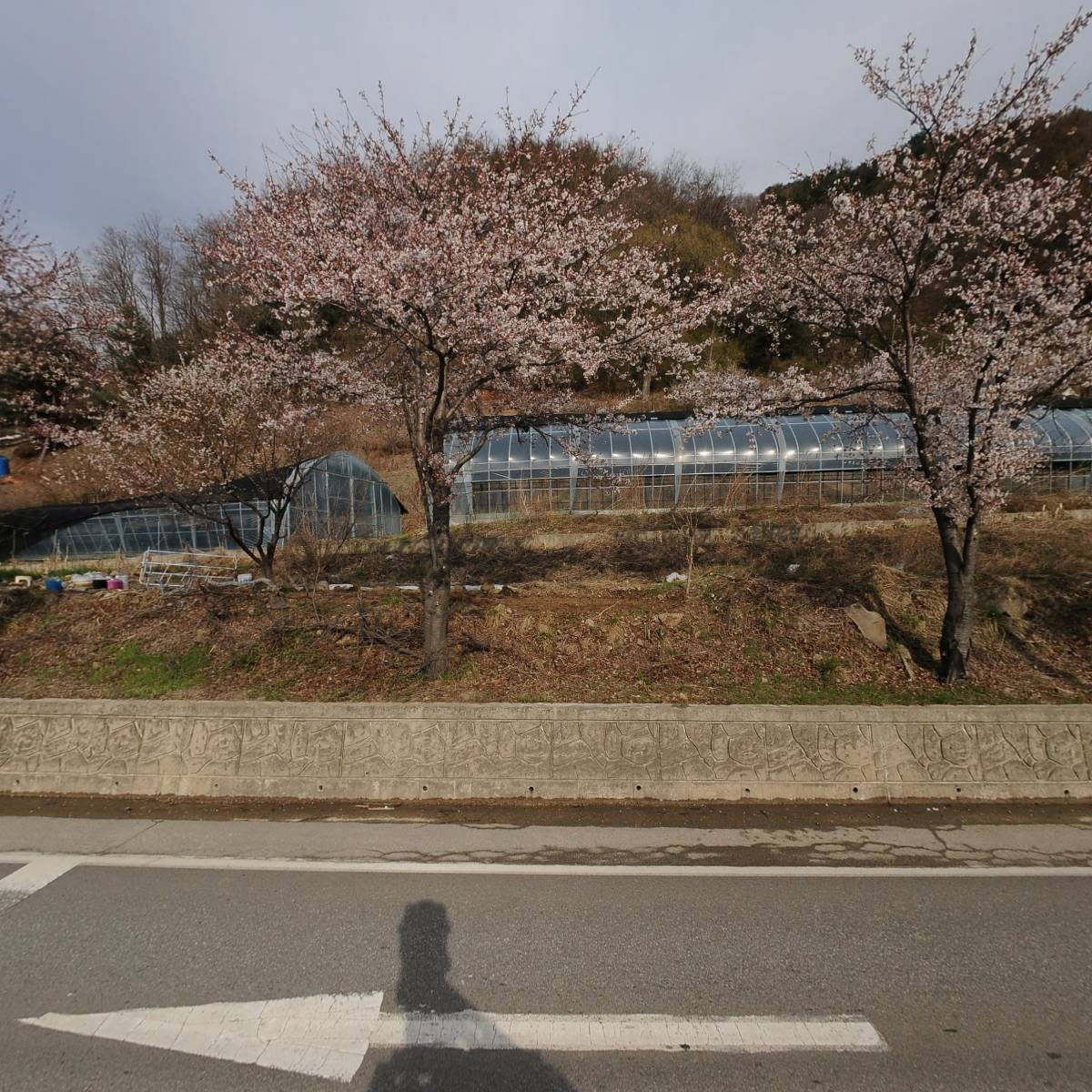 설악장묘 묘지관리 벌초 이장 개장 화장 비석 납골묘 산역 무연고_3