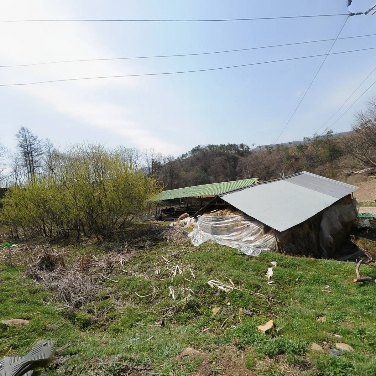 하대보건진료소