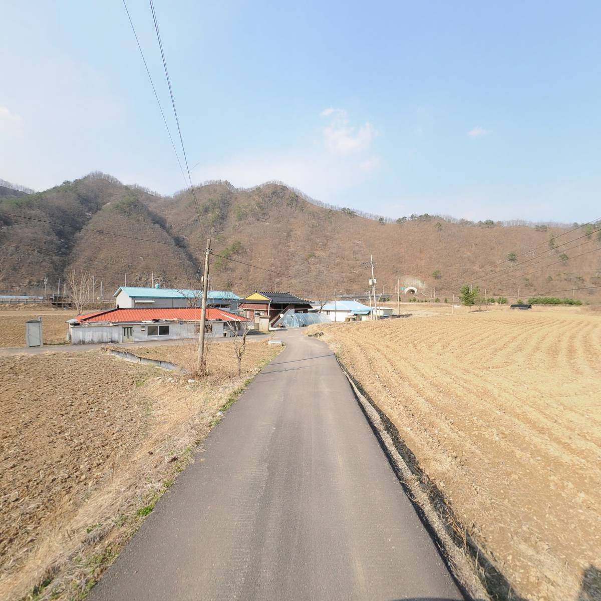 와이지푸드_2