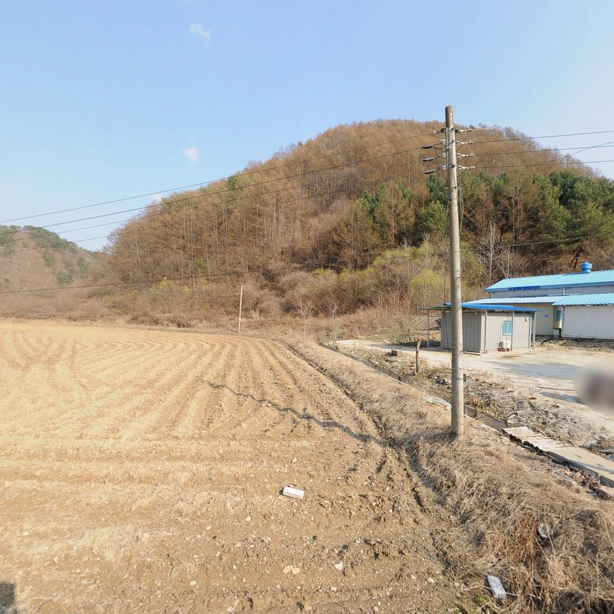 와이지푸드_3