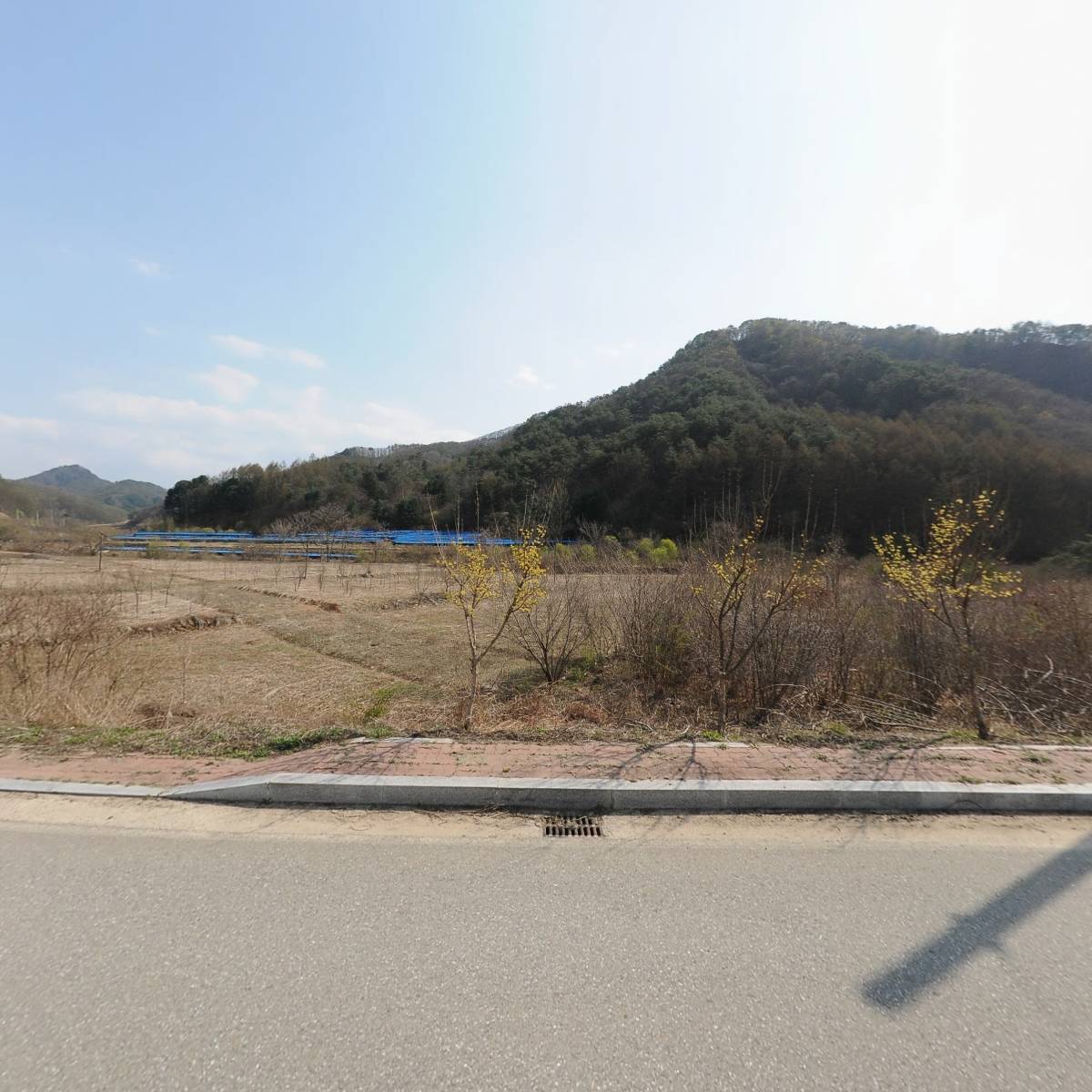 플스테이 스테이펫 홍천_3