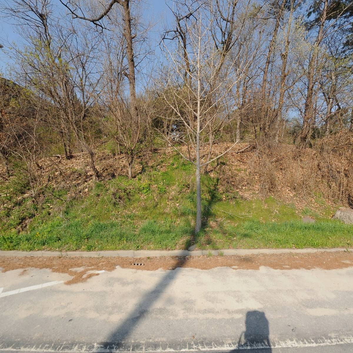 (주)대홍사
