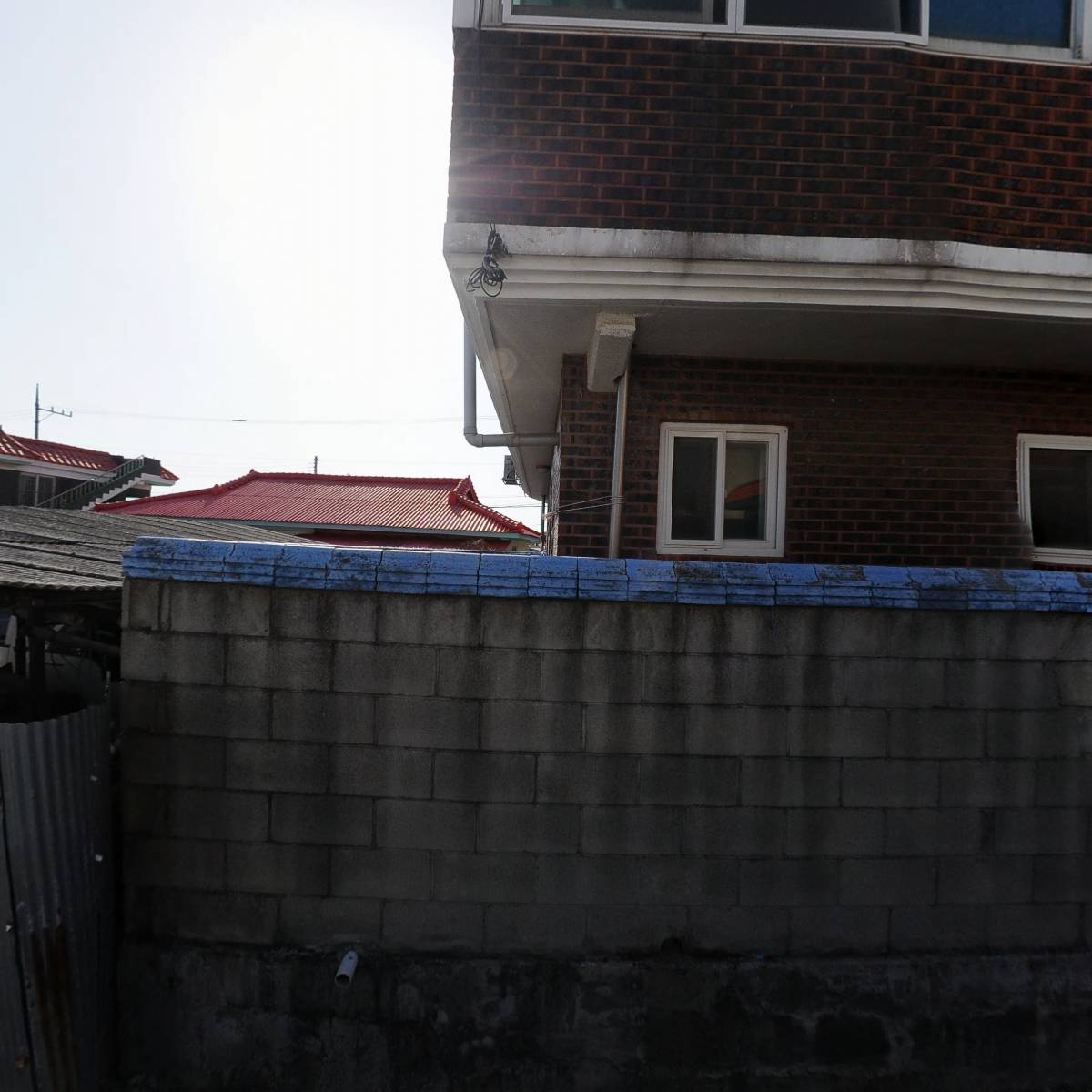조선일보 화지지국_3