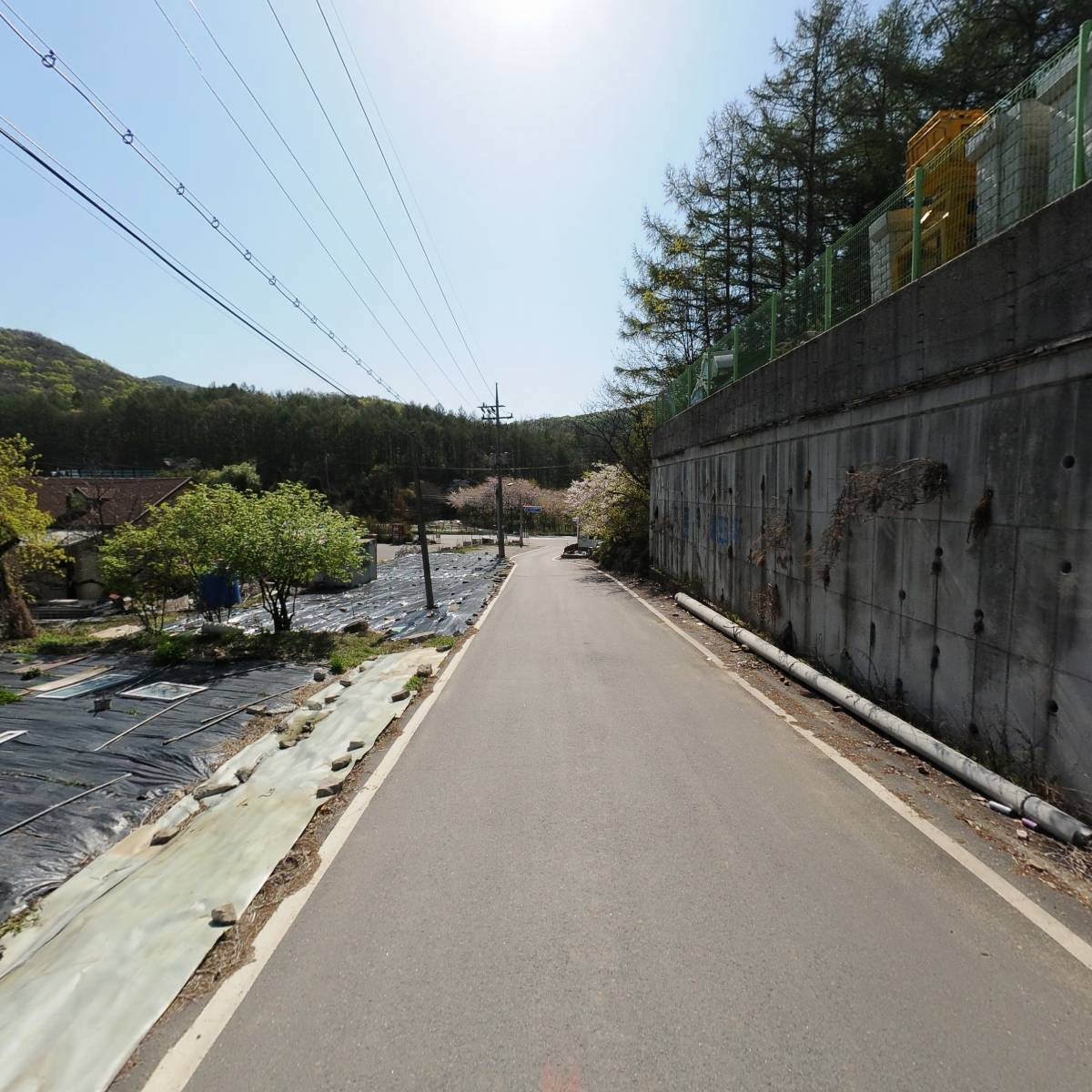 보담데코_2