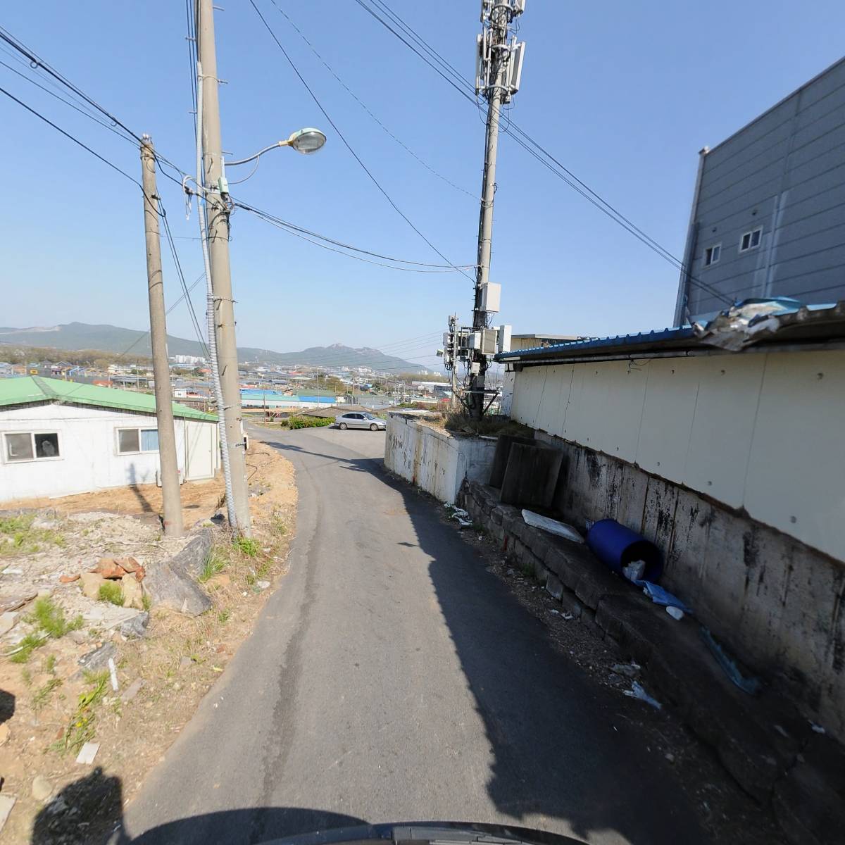 자담채미가_2