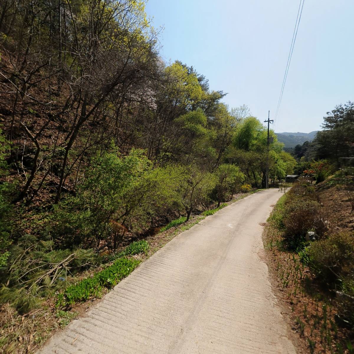 농림식품혁신기술연구원(주)_2