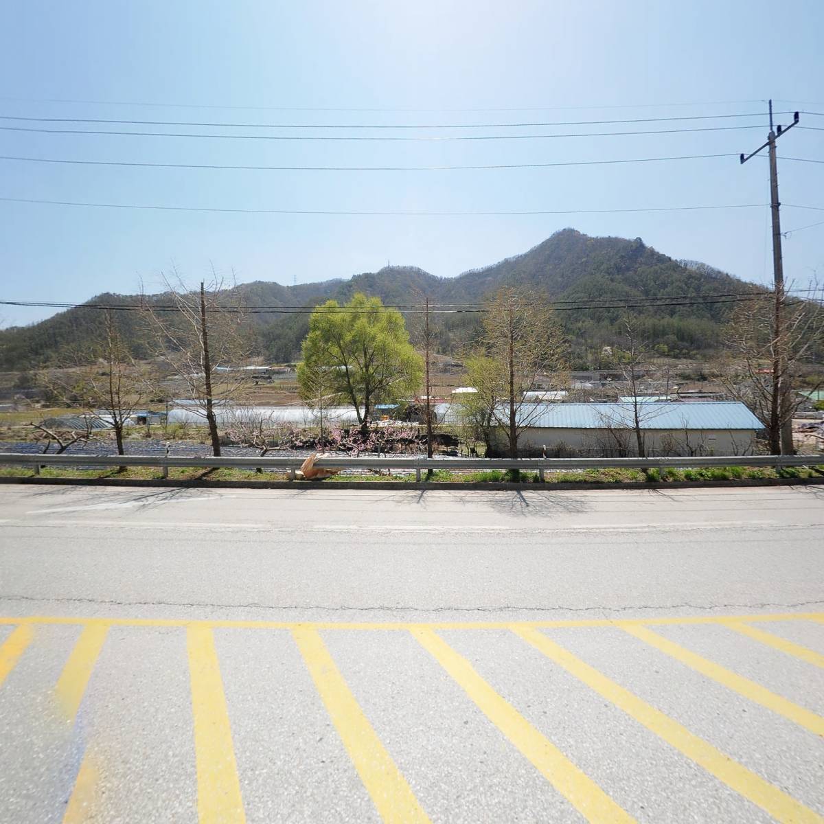 평창군청_3