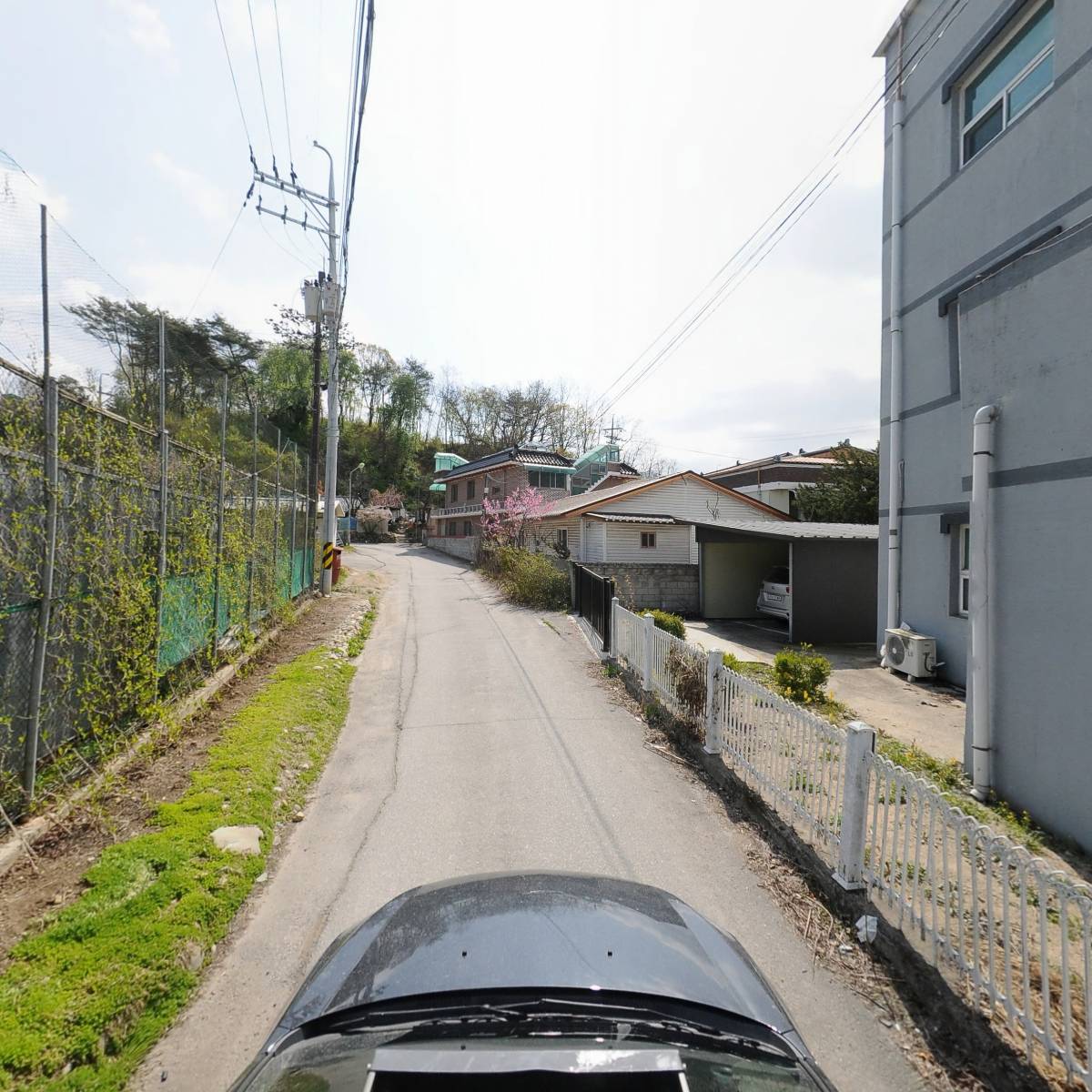 세리팜평창군총판_4
