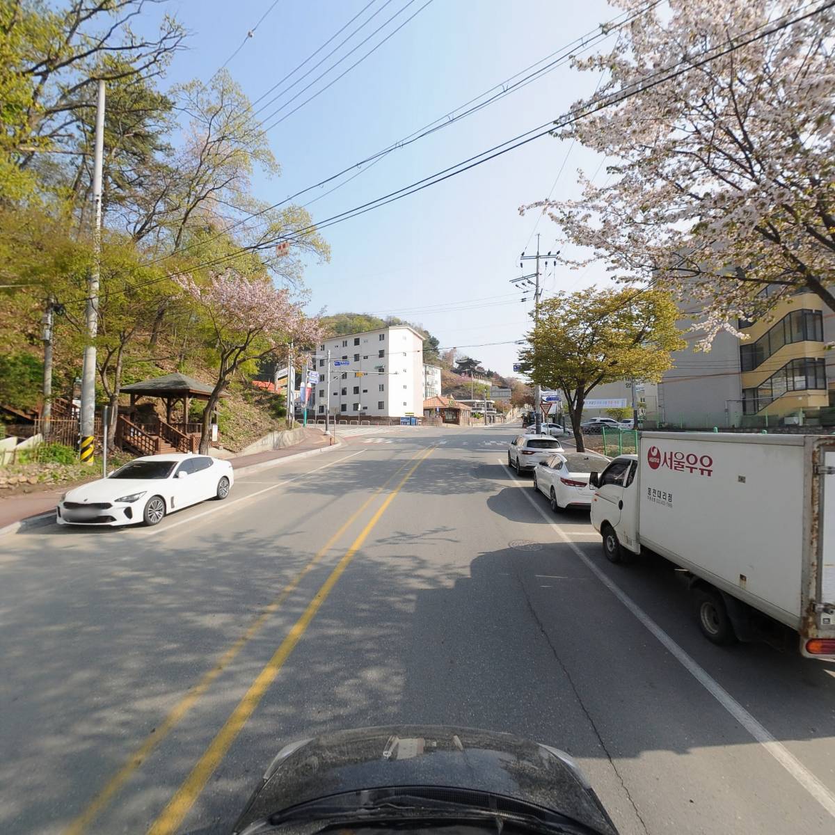 제주가고향_4