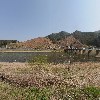 더 통나무 펜션
