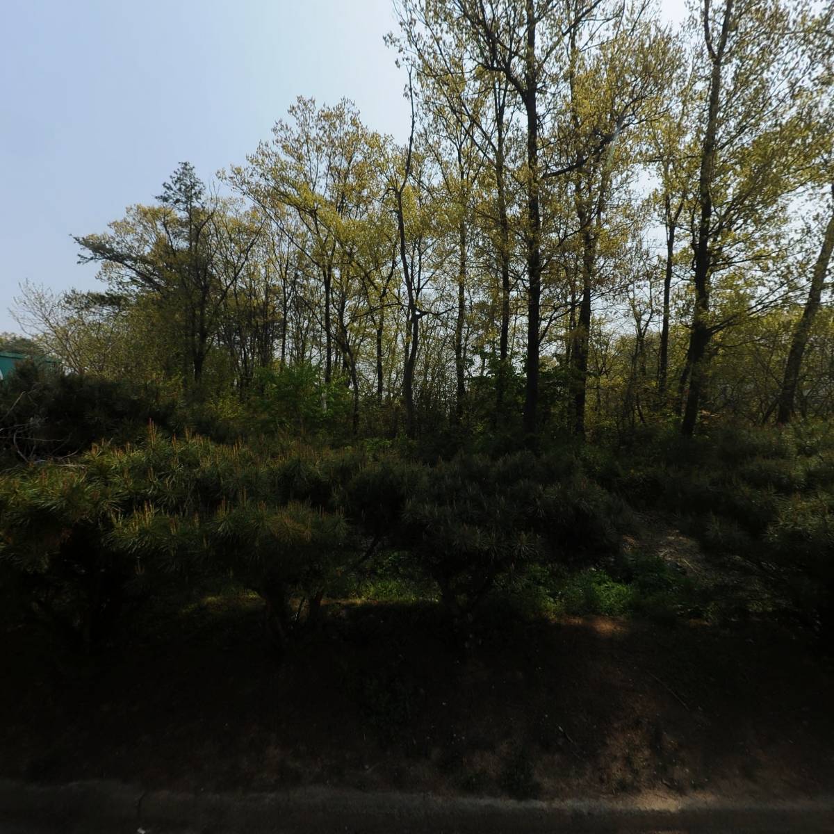 신풍리사이클링