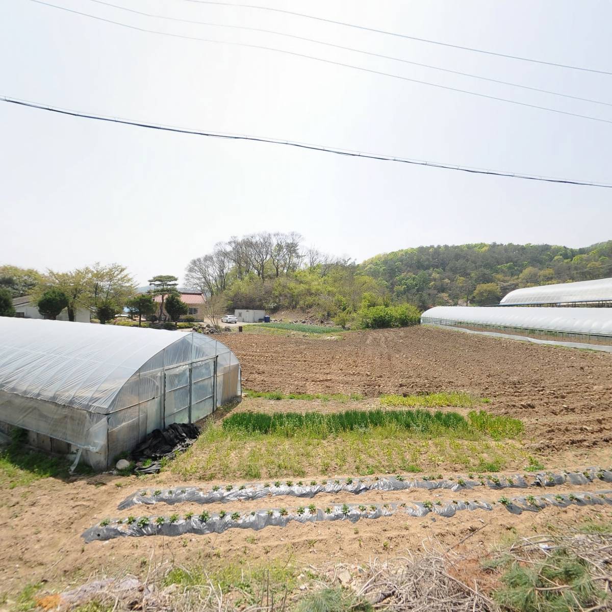 로도스 지오텍_3