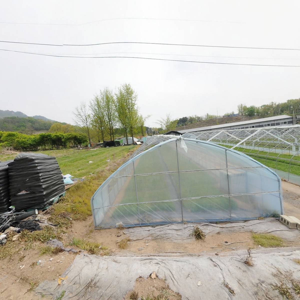 (주)엔에스준글로벌