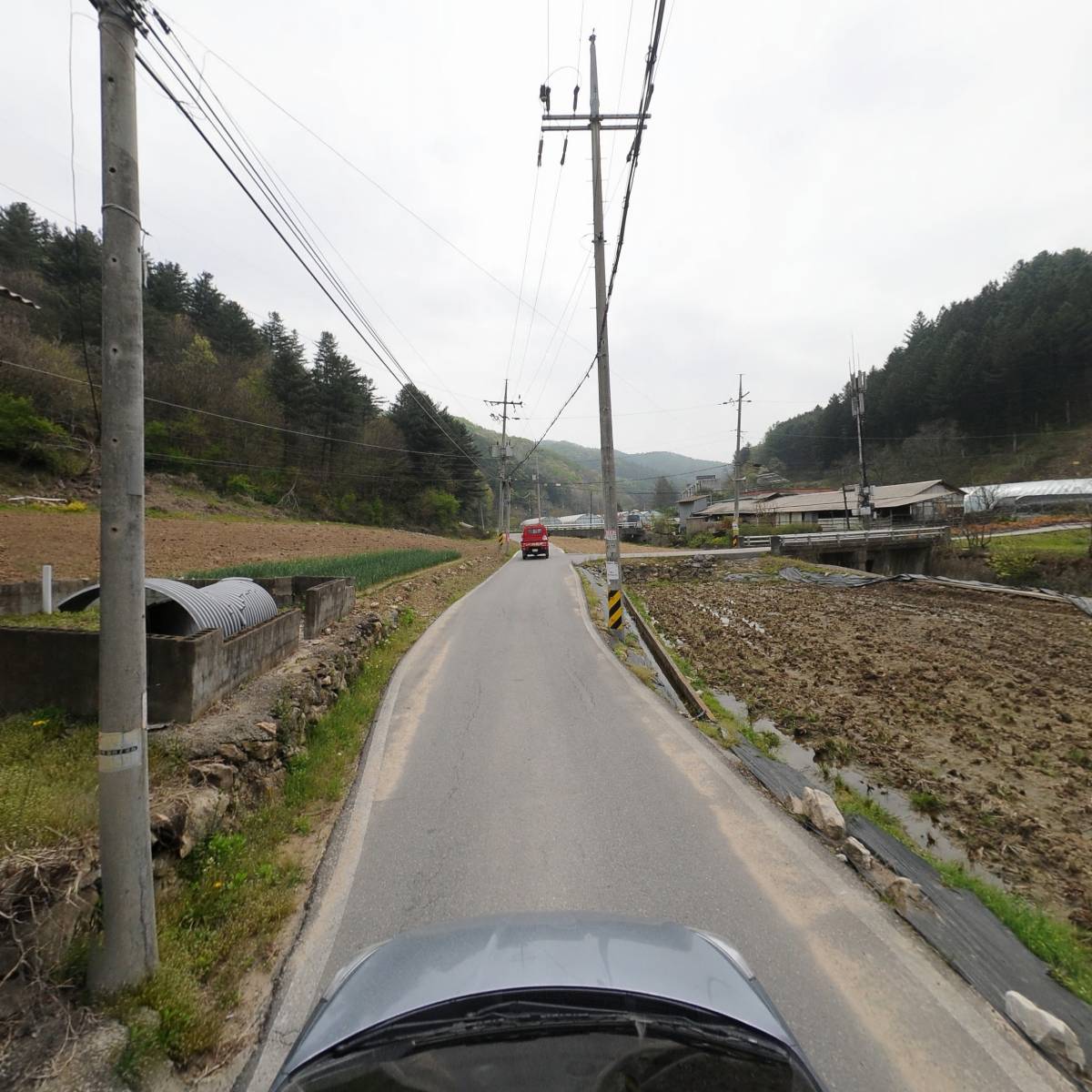 메리도그하우스2_4