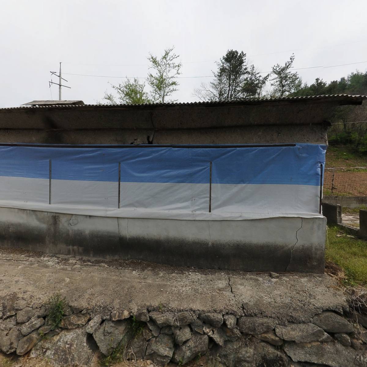 메리도그하우스2_3
