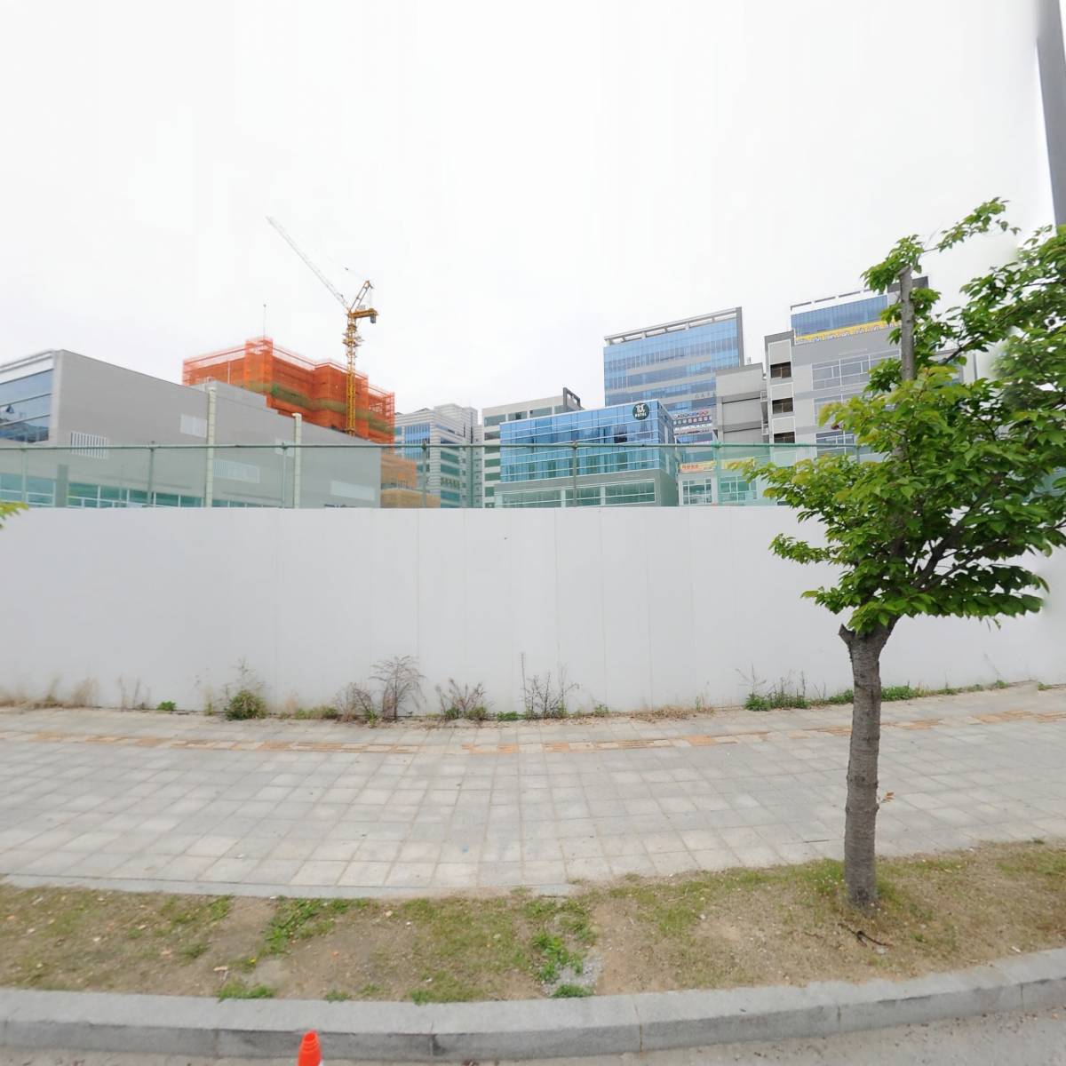 회조개 옥정점_3