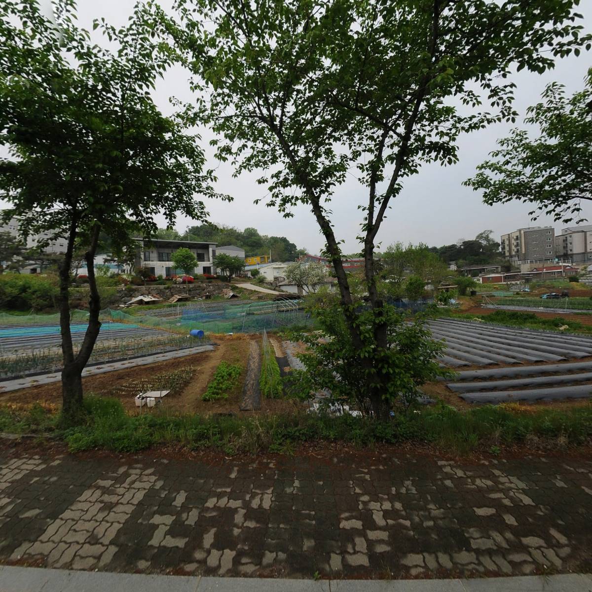 대로애드