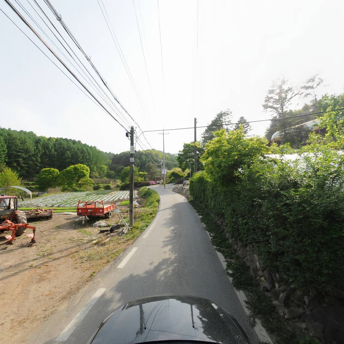 영농조합법인 경기산양산삼공사_4