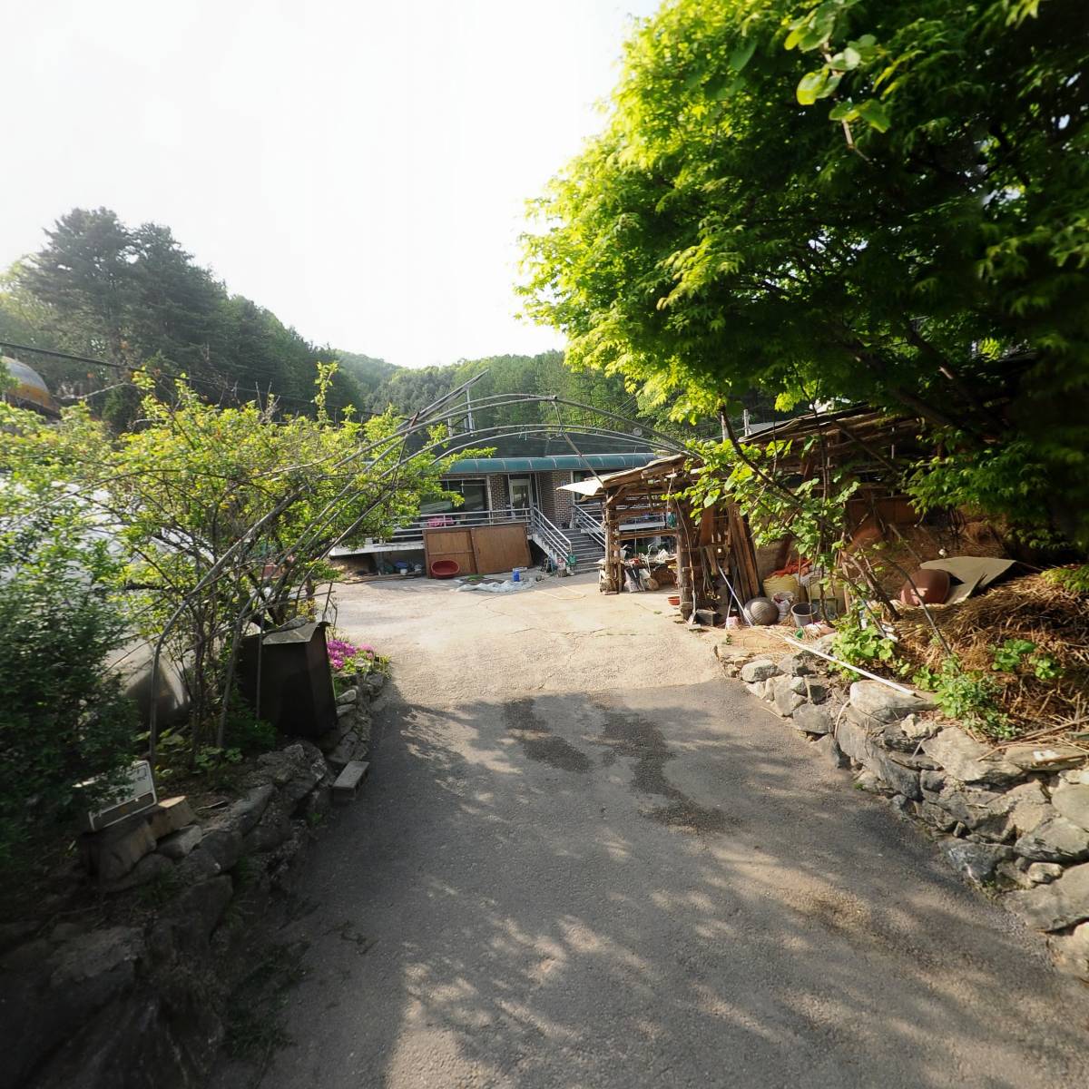 영농조합법인 경기산양산삼공사