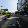 금송아지_4