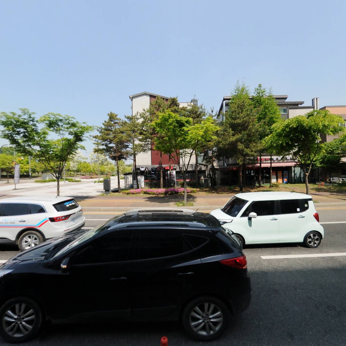금송아지_3