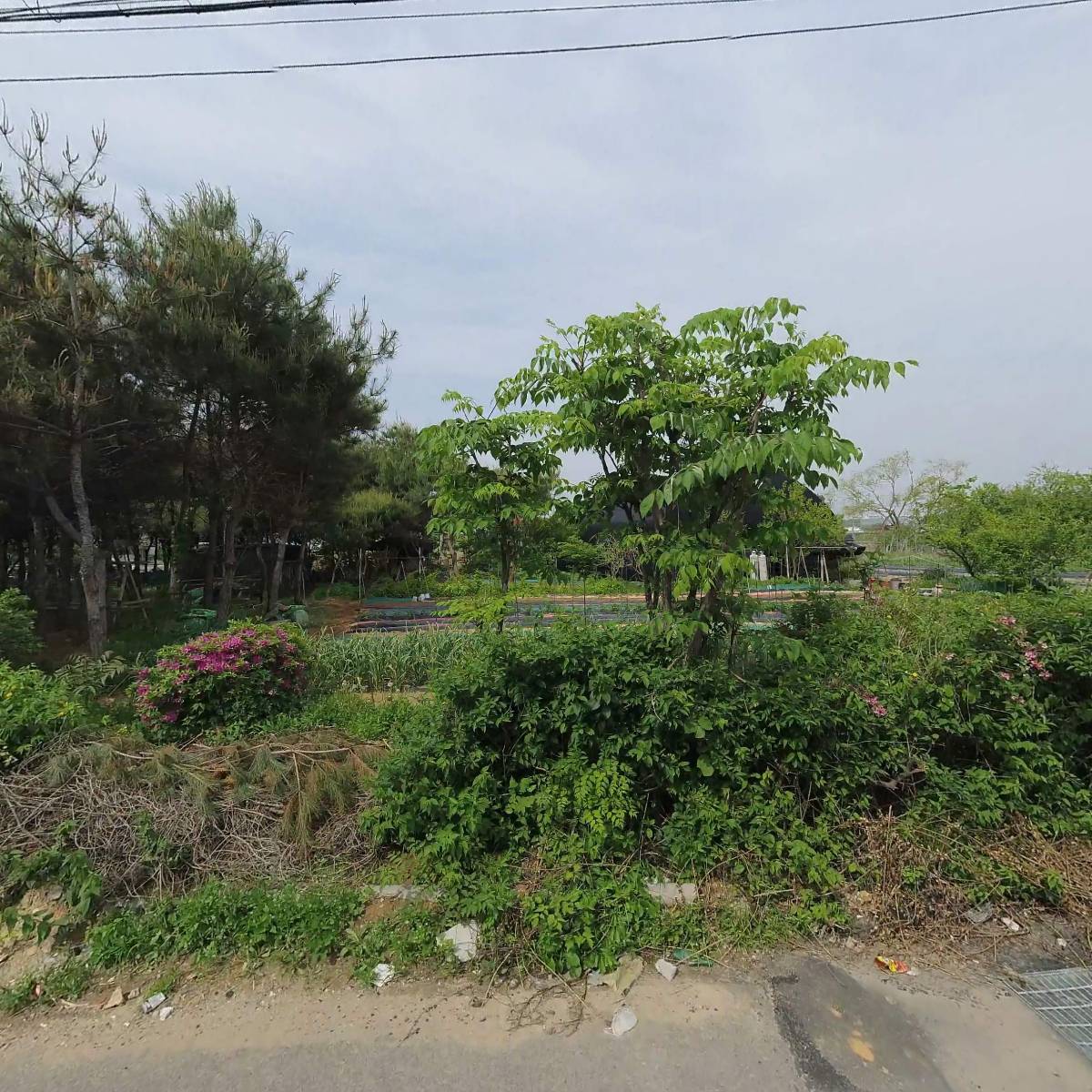 샵모빌리티