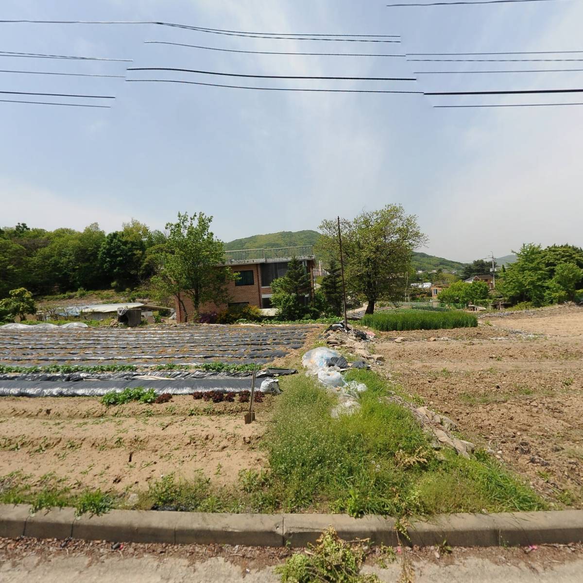 창조교회