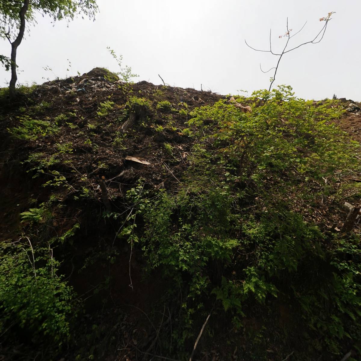 신도시산업개발(주)