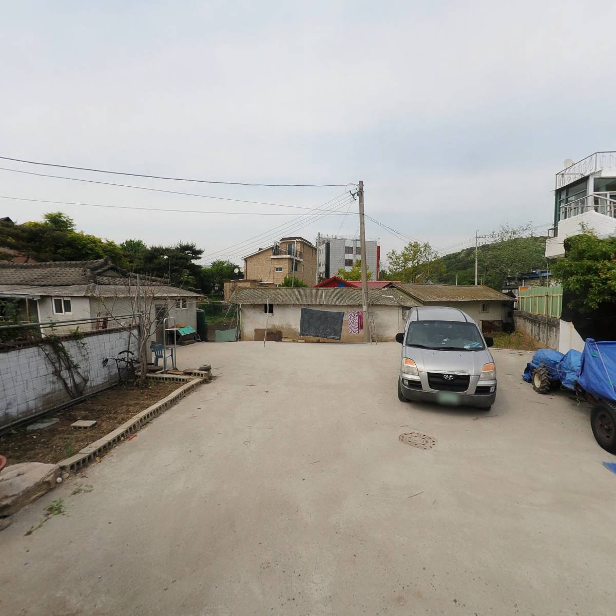 시루온 플라워