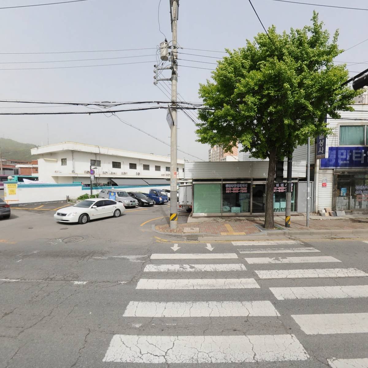 펫싸롱_3