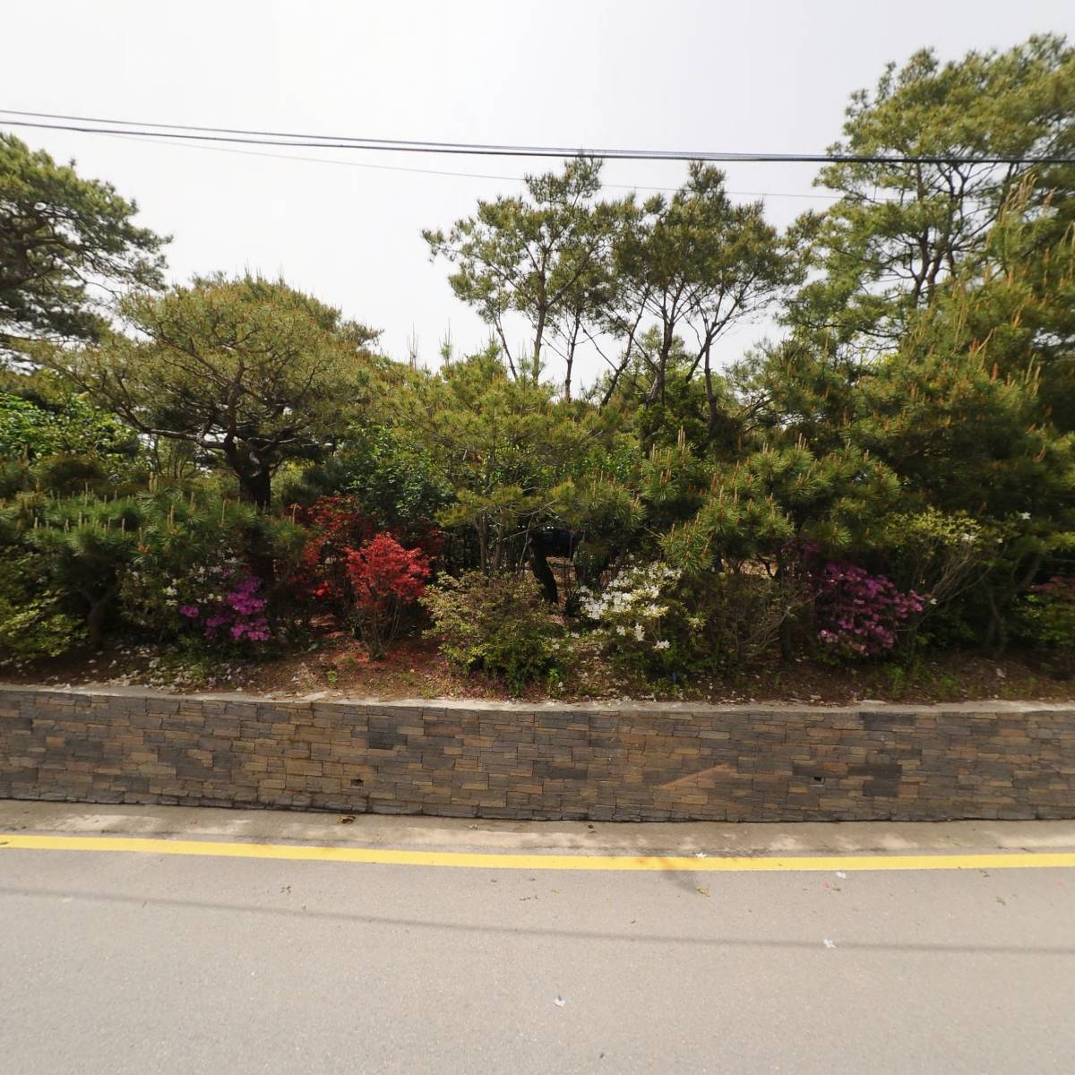 주식회사 원뮤직악기사 지점_3