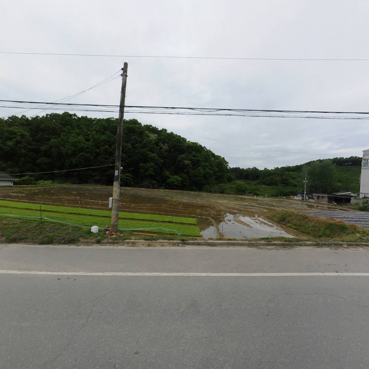 영농조합법인 다물농산_3
