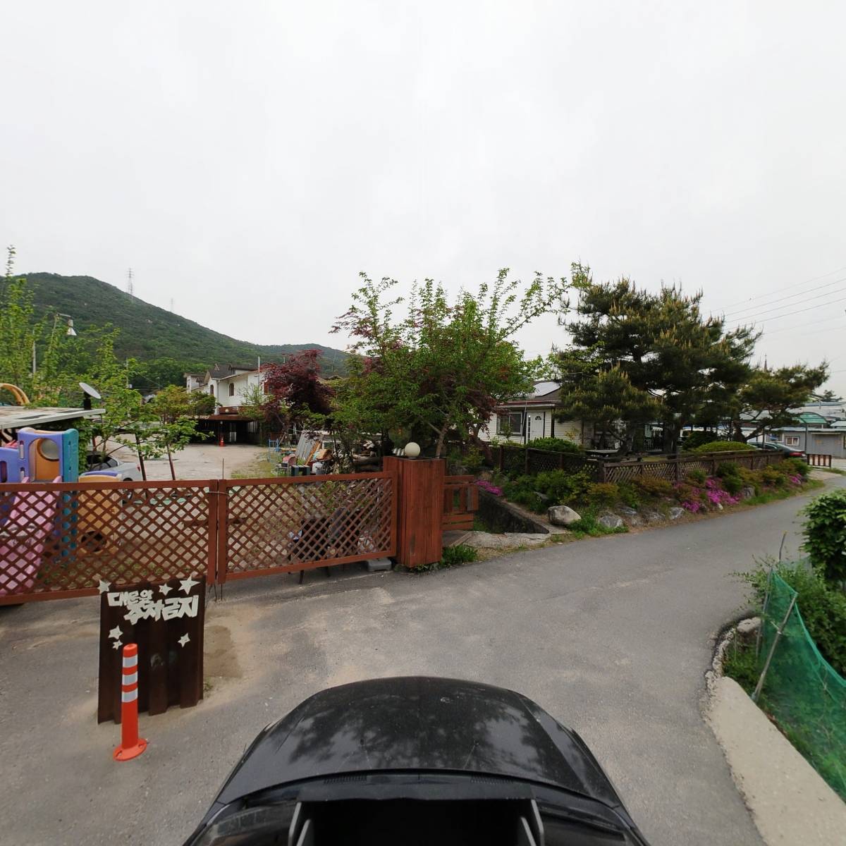 홍시돈까스_4