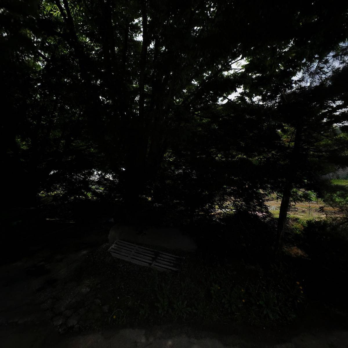 이천지지피종돈장_3