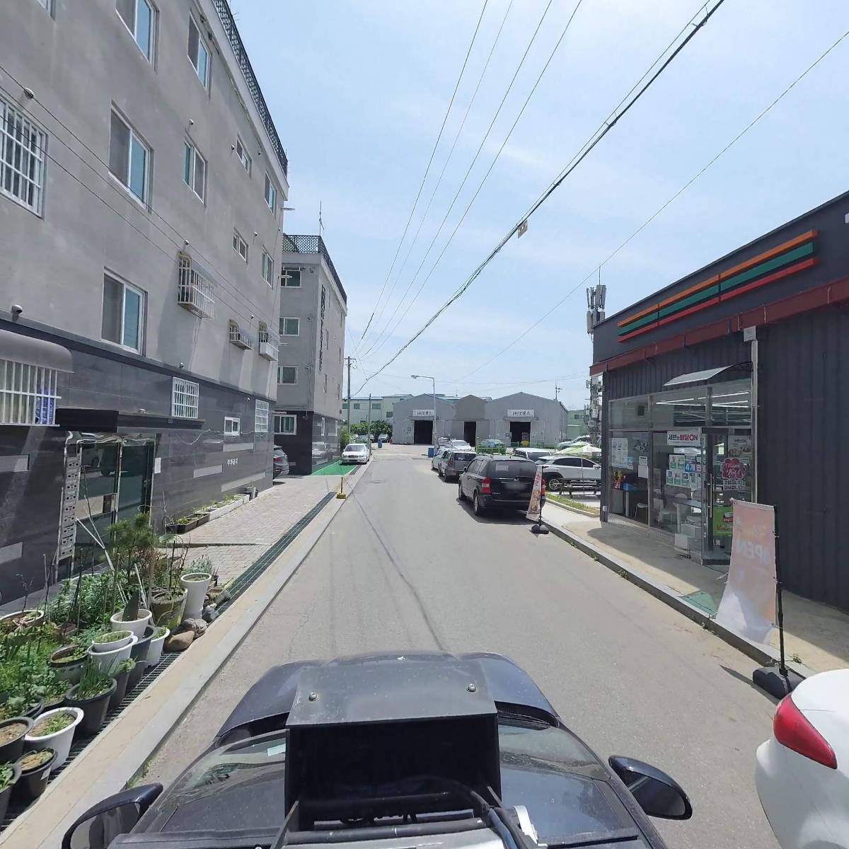 나무스케치_4