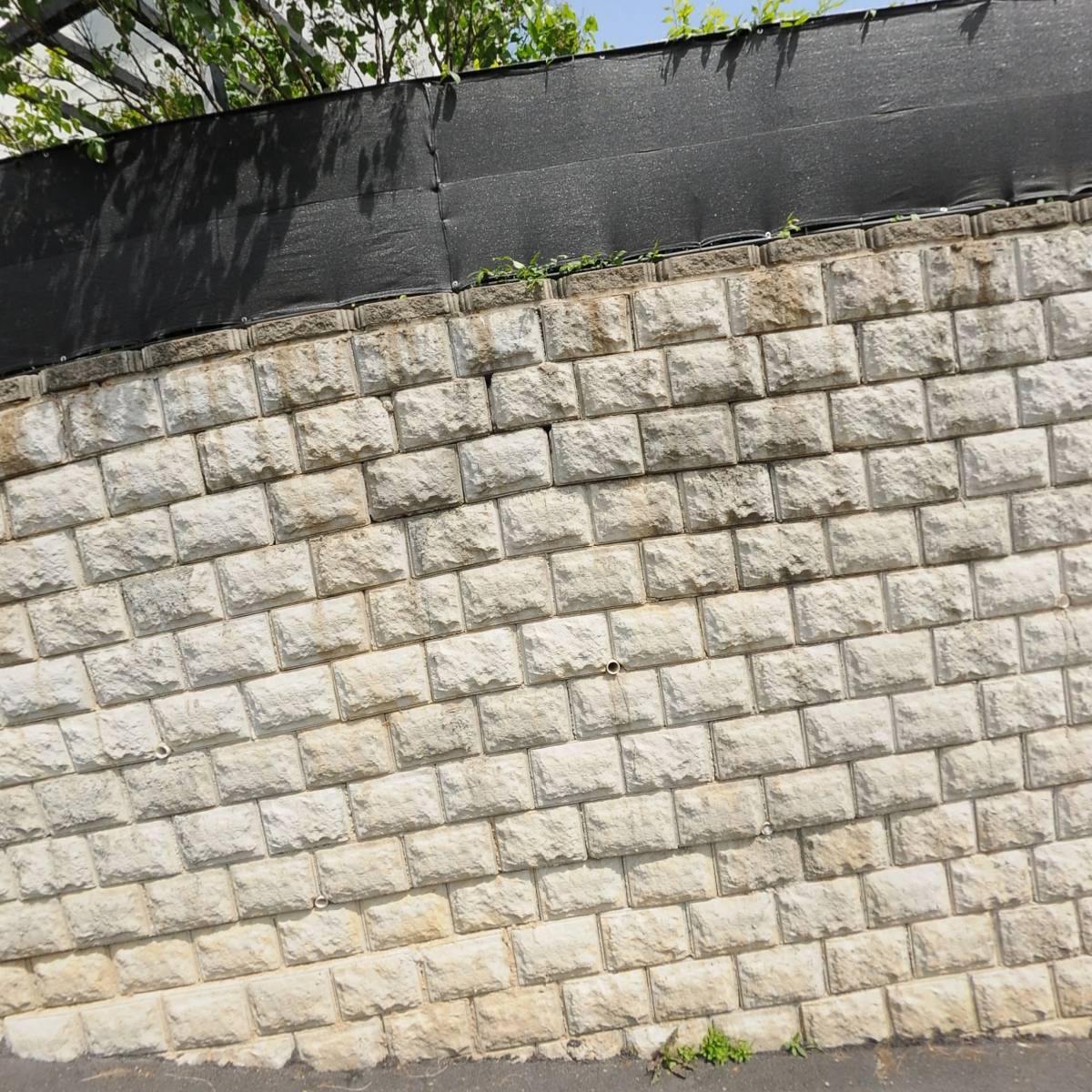 라이프이즈뷰티풀