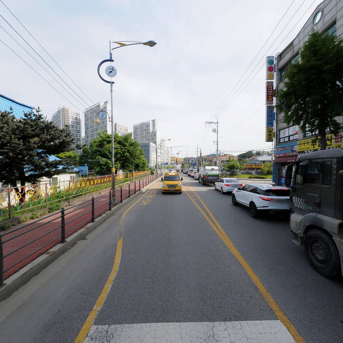 터줏대감_2