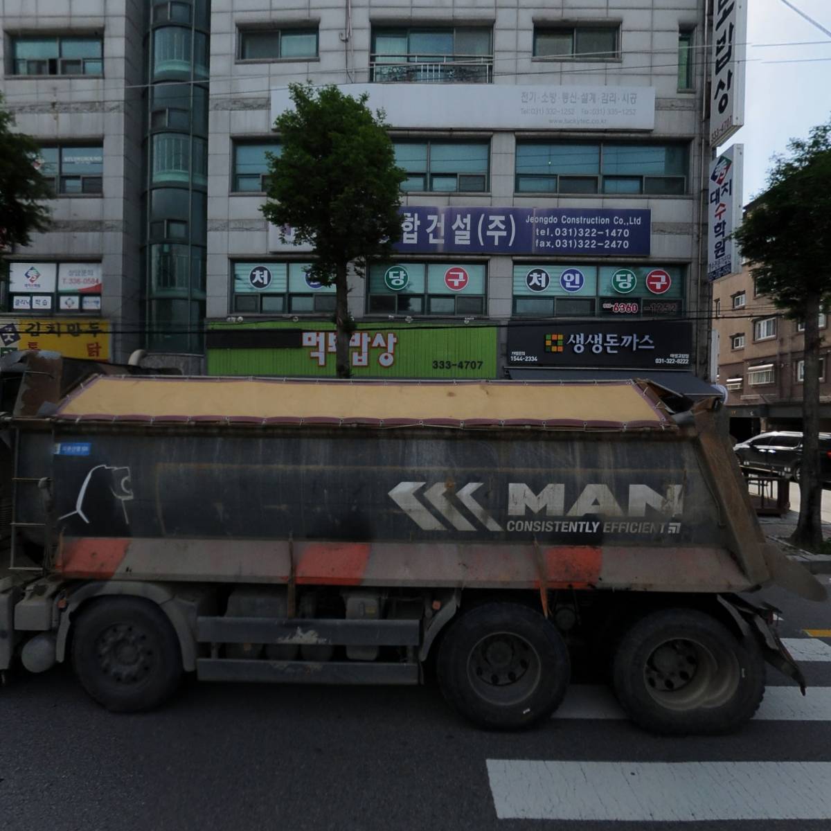 터줏대감_3