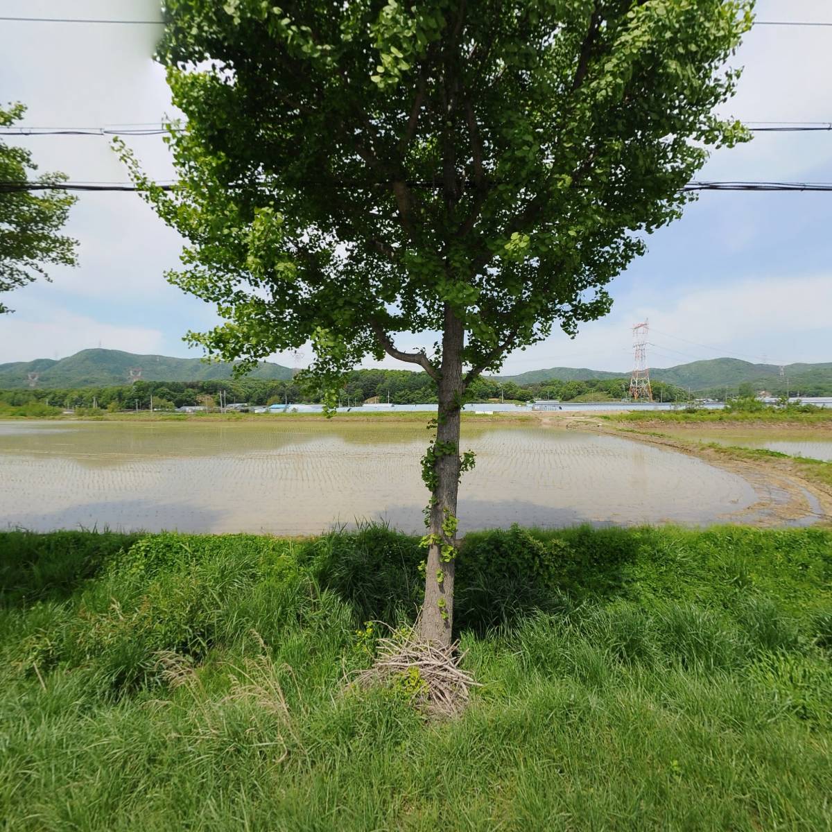 천룡무역