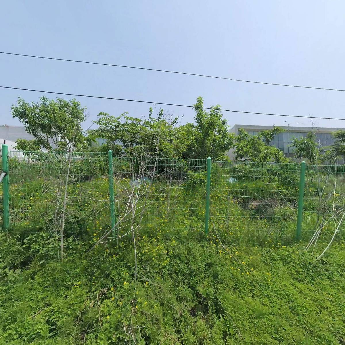 인하우즈(IN HOUZ)_3