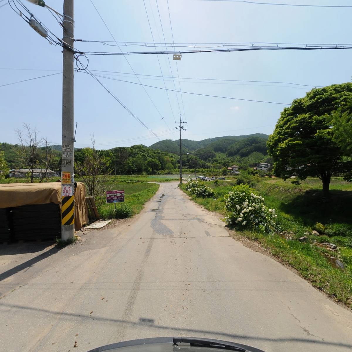 동네식당,농업회사법인뚱딴지마을주식회사_2