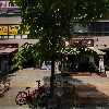 온실용음악학원