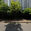 온실용음악학원_3